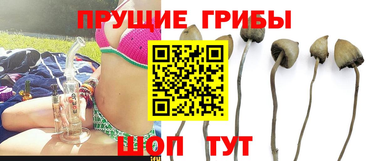 Галлюциногенные грибы Cubensis Ярцево