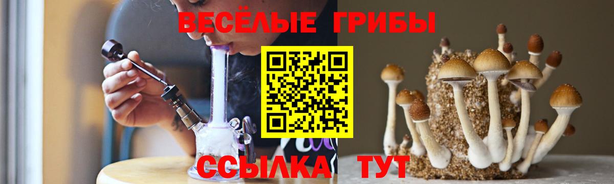 Галлюциногенные грибы Magic Shrooms  Вход с VPN  Псилоцибиновые грибы прущие грибы  купить наркоту  Ярцево 